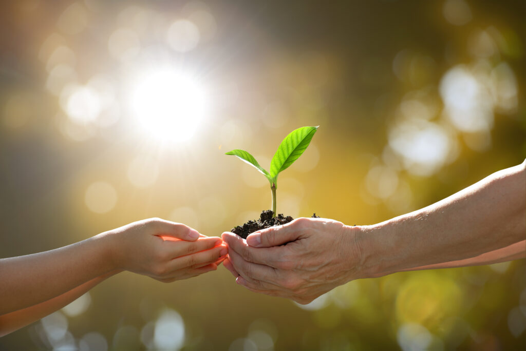 Lead Nurturing Beats Closing: How to Win Deals Before You Even Meet