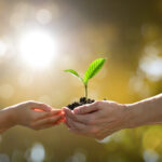 Lead Nurturing Beats Closing
